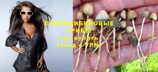 а пвп мука Елизово